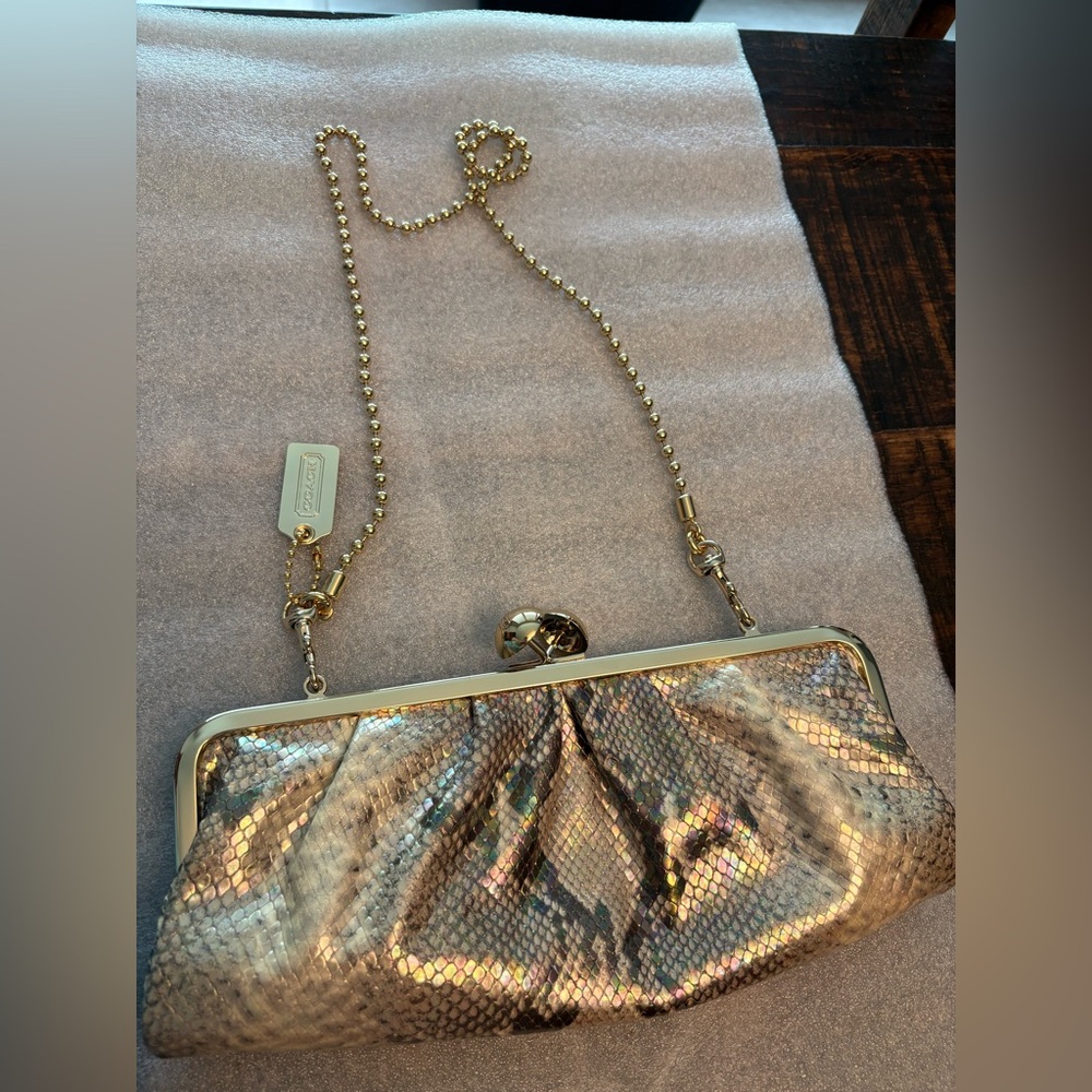 Coach-Darcy  Embossed Python Clutch - Picture 6 of 12